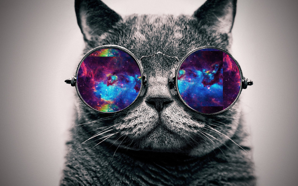 Galaxy Cat Wallpaper